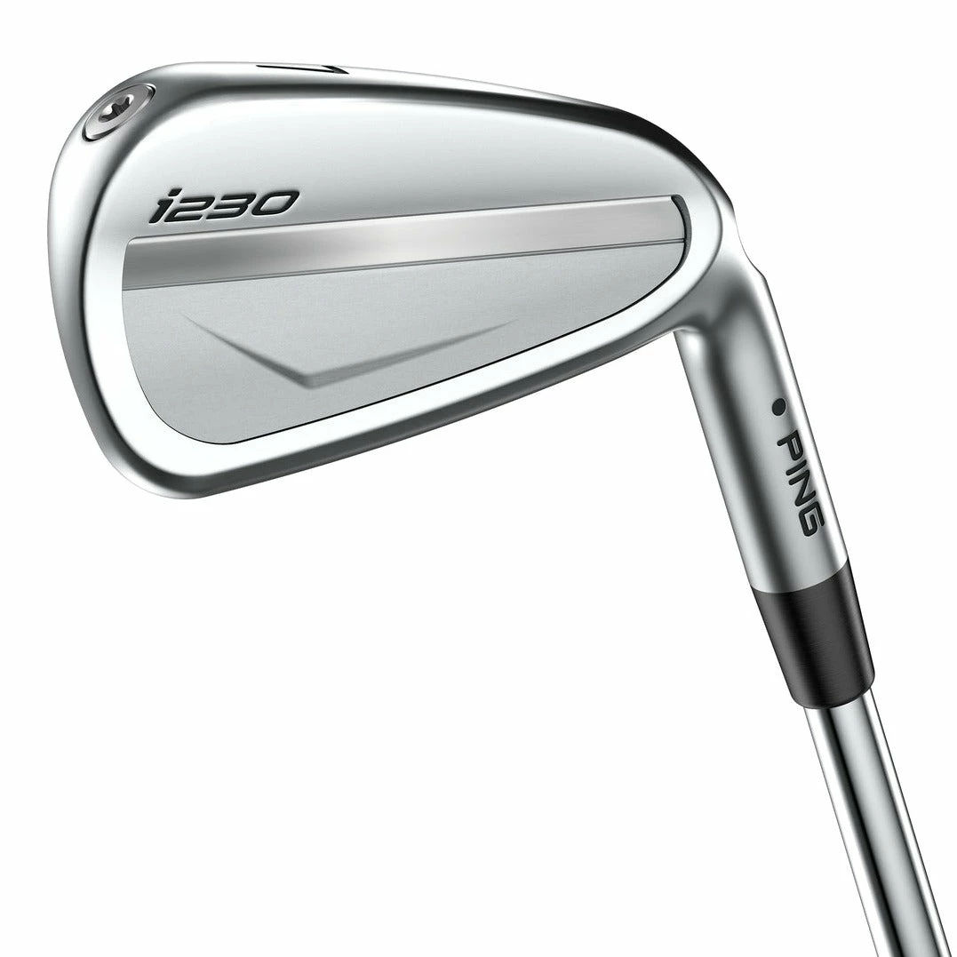 Ping I230 Golf Irons | Graphite